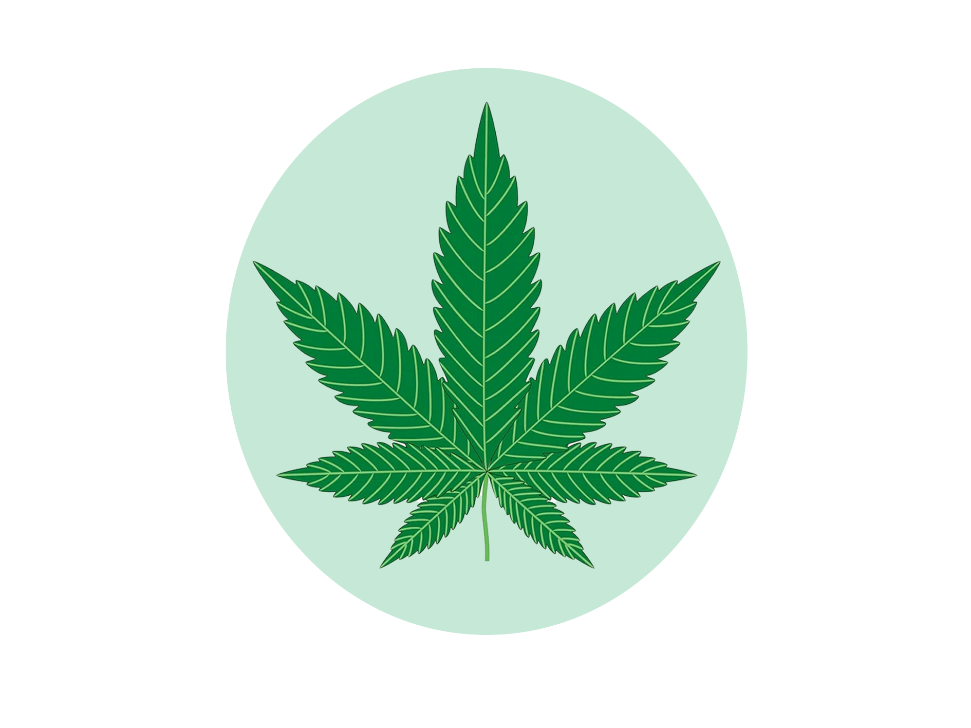 Logo Canabis Medical